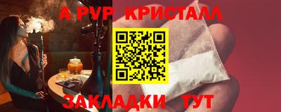 2c-b Кингисепп
