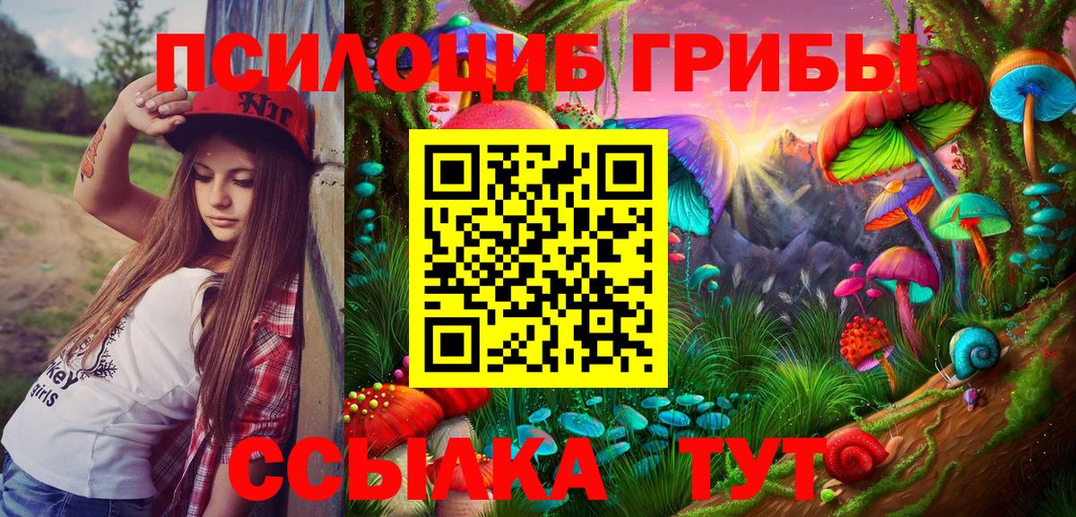 Шадринск  Псилоцибиновые грибы мухоморы  Псилоцибиновые грибы GOLDEN TEACHER  Вход с VPN 